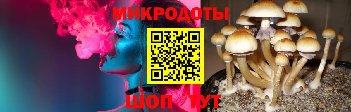 Псилоцибиновые грибы Magic Shrooms Богданович