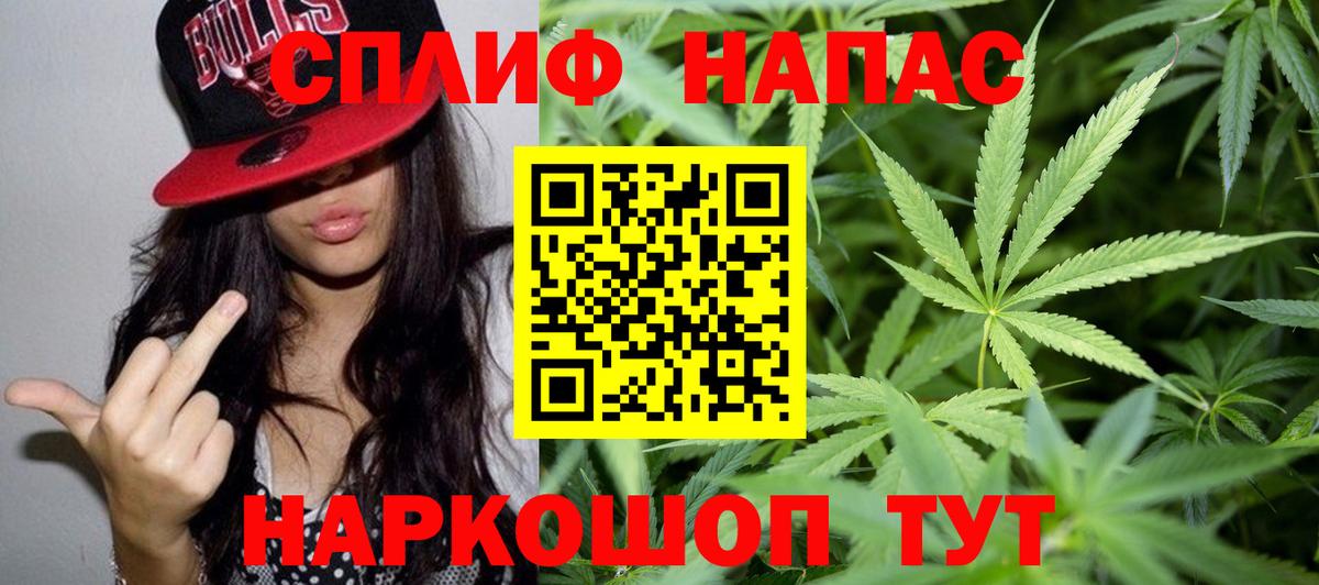 Каннабис планчик Богданович